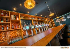 Marlow Industrial Cage Pendant Light 12.6" -Home-Lighting Sale alcaponebar mlp384 rf