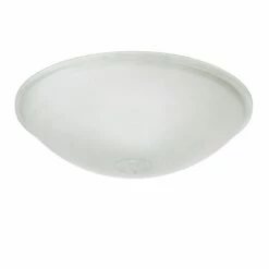 Flush Dish Ceiling Fitting Glass Lamp Shade