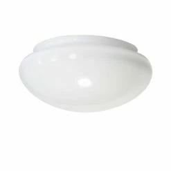 Small Flush Ceiling Fitting Glass Lamp Shade