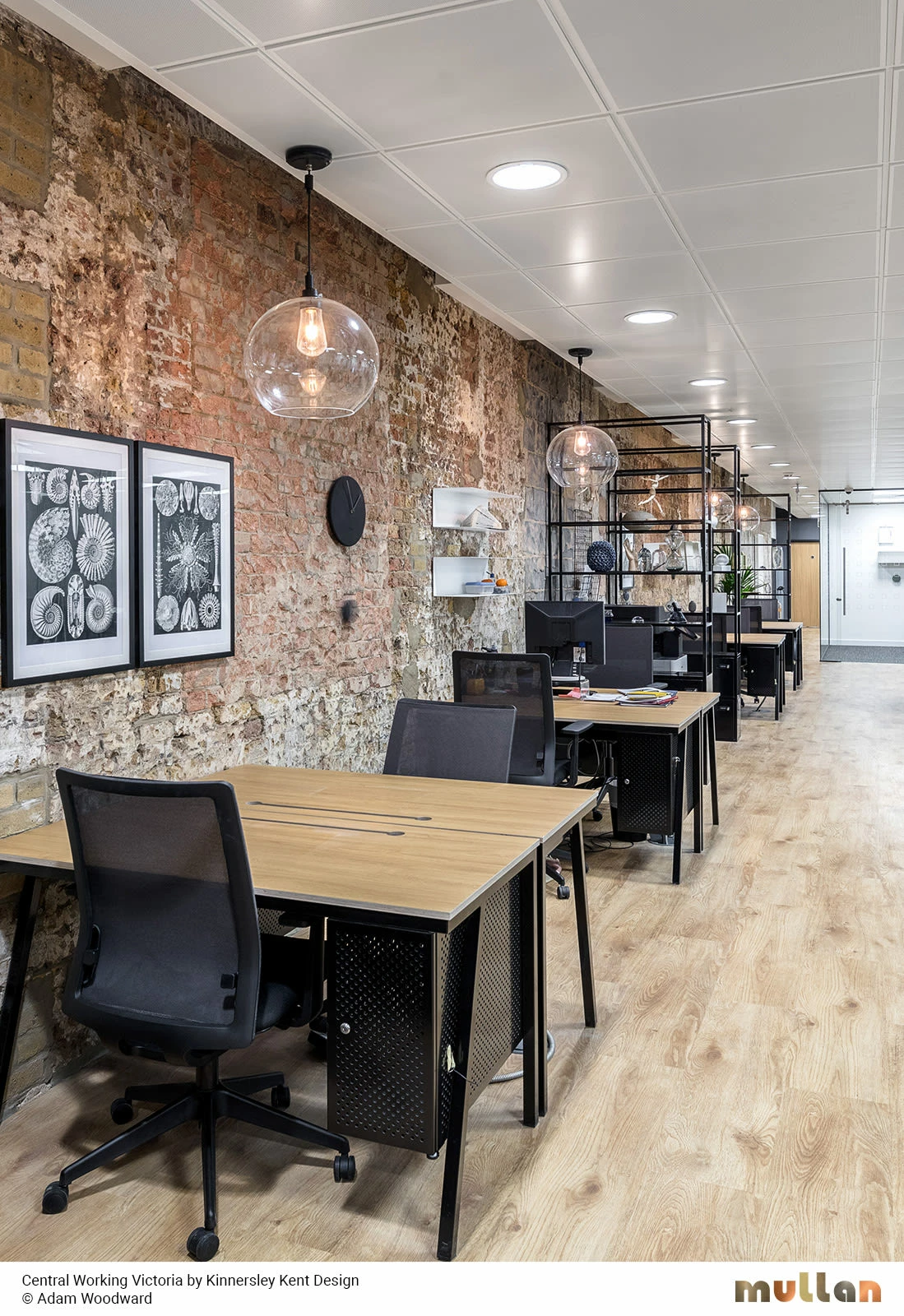 Leith Open Globe Pendant Light 13.8" IP65 8 Leith Open Globe Pendant Light 13.8" IP65 - Image 6