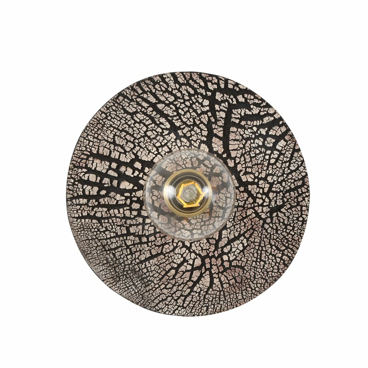 Bog Oak Organic Ceramic Disc Wall Light, Black Clay 5 Bog Oak Organic Ceramic Disc Wall Light, Black Clay - Image 3