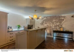 Chulainn B Industrial Dish Chandelier, Five-Arm -Home-Lighting Sale mlf196 mg 8293 hdr copy 1